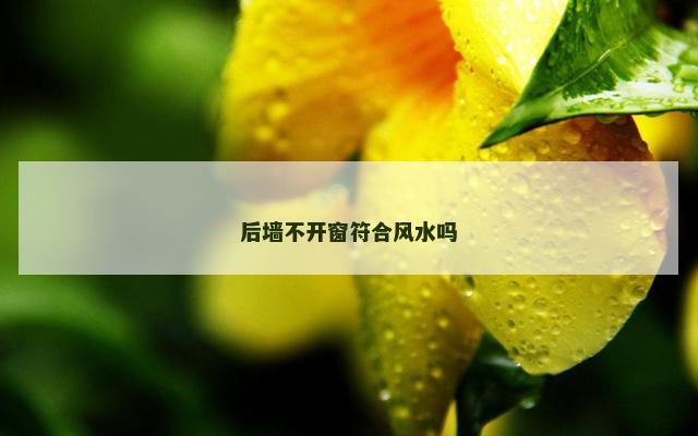 后墙不开窗符合风水吗