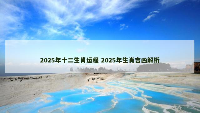 2025年十二生肖运程 2025年生肖吉凶解析