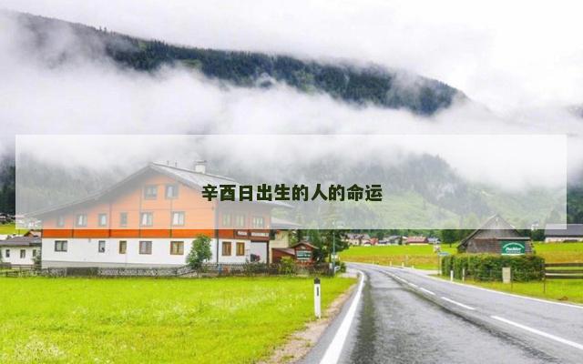 辛酉日出生的人的命运