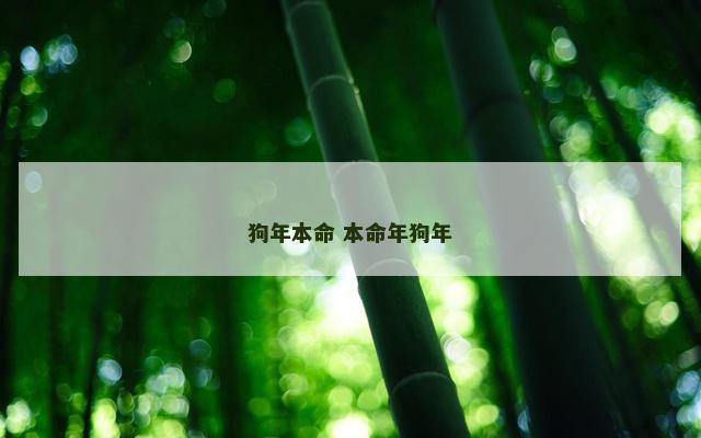 狗年本命 本命年狗年
