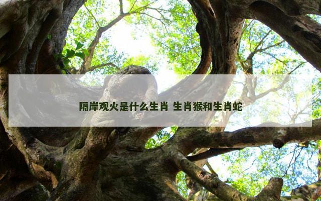 隔岸观火是什么生肖 生肖猴和生肖蛇