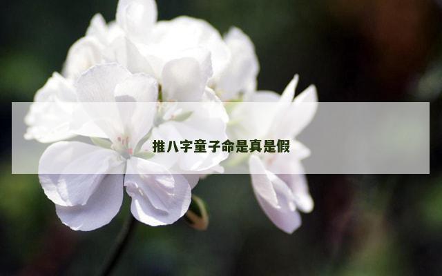 推八字童子命是真是假 推八字童子命是真是假