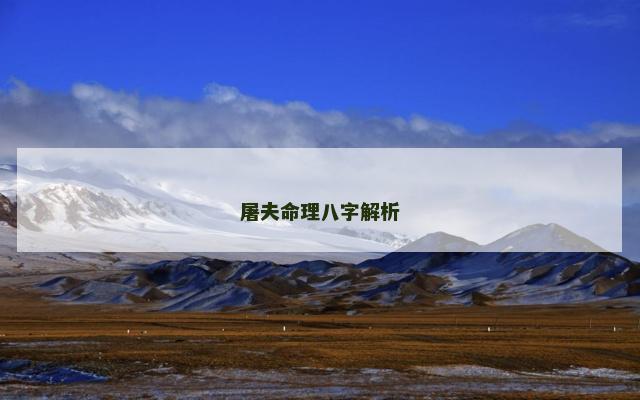 屠夫命理八字解析
