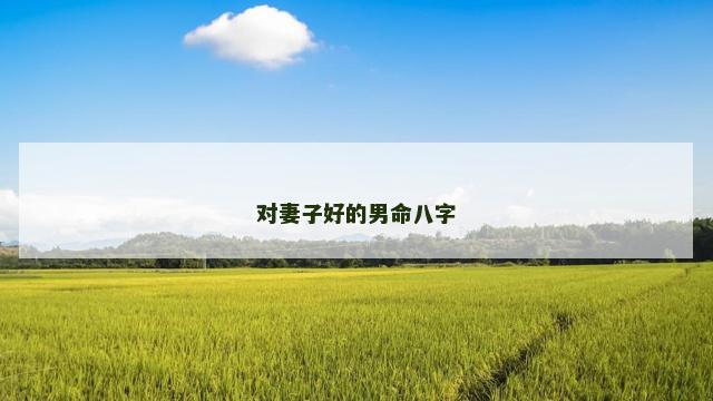 对妻子好的男命八字