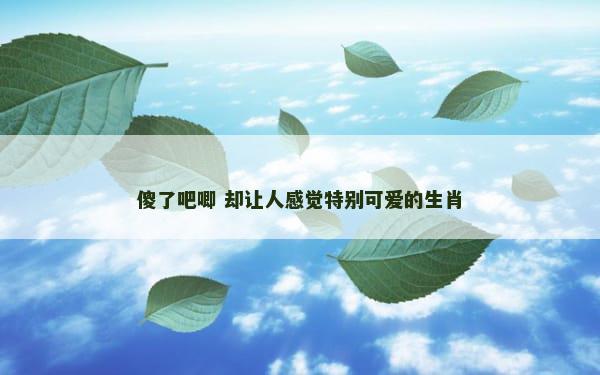 傻了吧唧 却让人感觉特别可爱的生肖