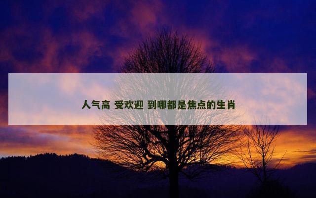 人气高 受欢迎 到哪都是焦点的生肖