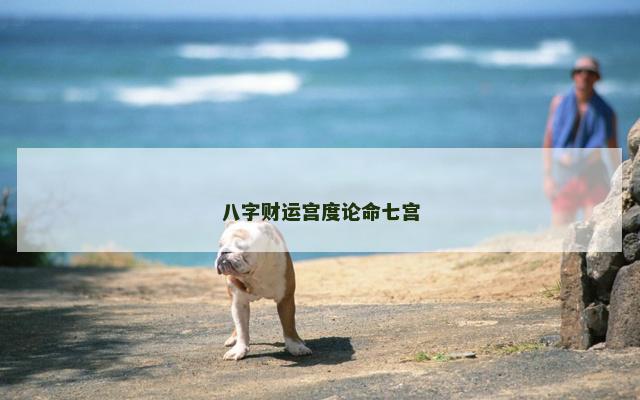 八字财运宫度论命七宫