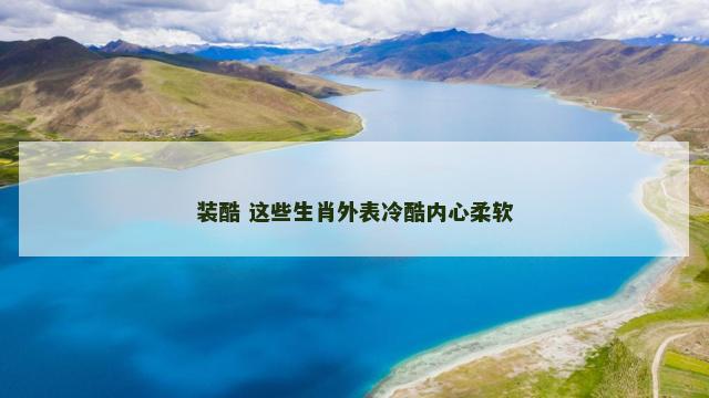 装酷 这些生肖外表冷酷内心柔软