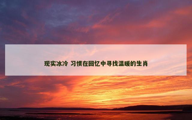 现实冰冷 习惯在回忆中寻找温暖的生肖
