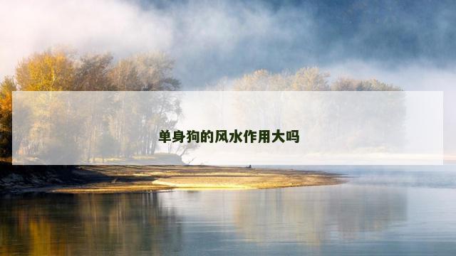 单身狗的风水作用大吗