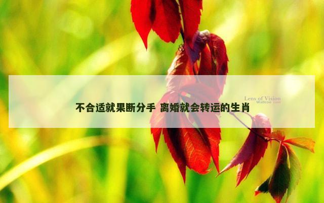 不合适就果断分手 离婚就会转运的生肖