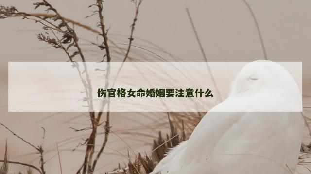 伤官格女命婚姻要注意什么