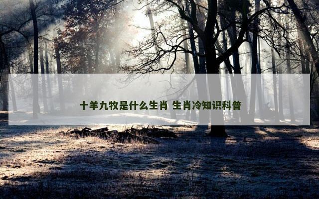 十羊九牧是什么生肖 生肖冷知识科普