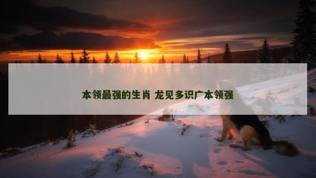 本领最强的生肖 龙见多识广本领强