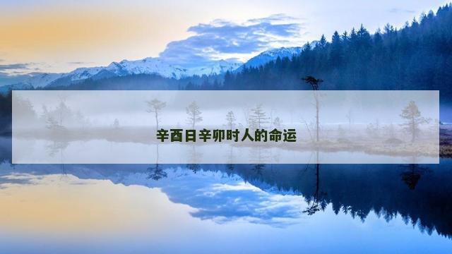 辛酉日辛卯时人的命运