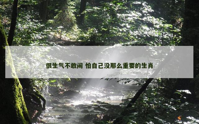 很生气不敢闹 怕自己没那么重要的生肖 很生气不敢闹 怕自己没那么重要的生肖