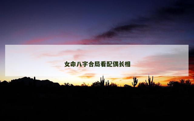女命八字合局看配偶长相 女命八字合局看配偶长相
