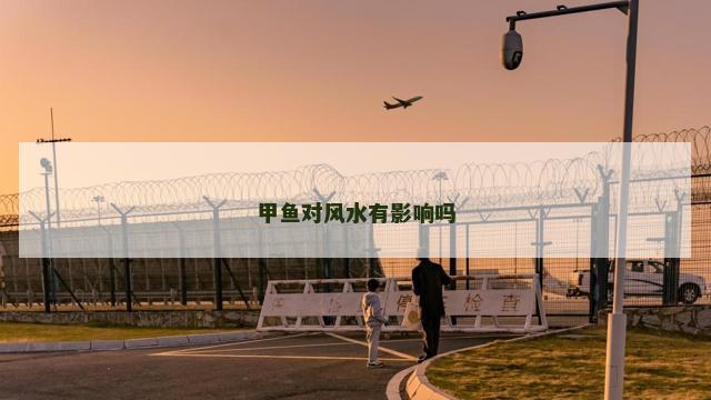 甲鱼对风水有影响吗