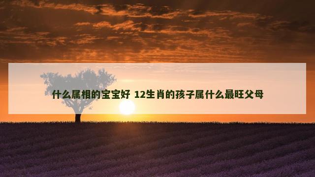 什么属相的宝宝好 12生肖的孩子属什么最旺父母