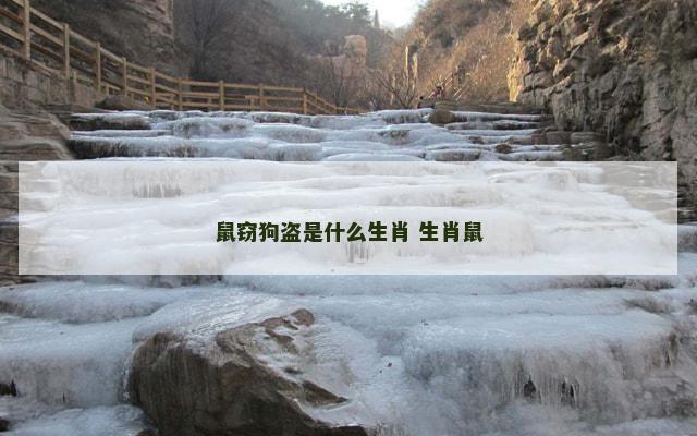 鼠窃狗盗是什么生肖 生肖鼠 鼠窃狗盗是什么生肖 生肖鼠