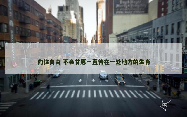 向往自由 不会甘愿一直待在一处地方的生肖 向往自由 不会甘愿一直待在一处地方的生肖