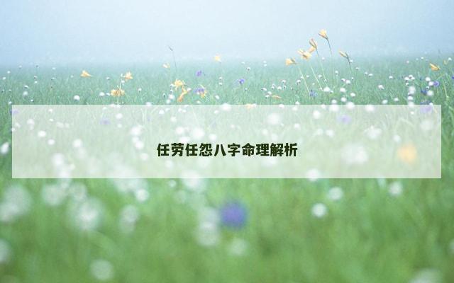 任劳任怨八字命理解析