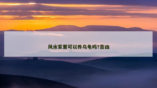 风水家里可以养乌龟吗?吉凶