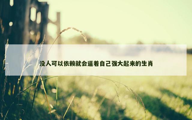 没人可以依赖就会逼着自己强大起来的生肖