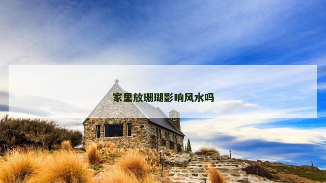 家里放珊瑚影响风水吗