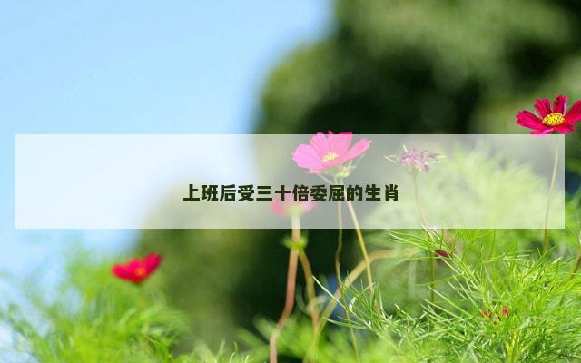 上班后受三十倍委屈的生肖