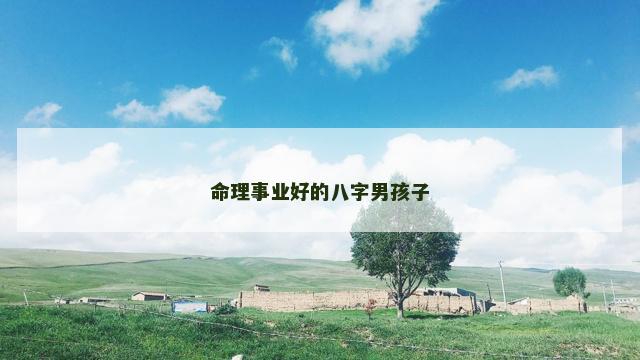 命理事业好的八字男孩子