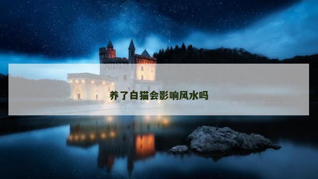 养了白猫会影响风水吗