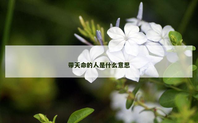 带天命的人是什么意思