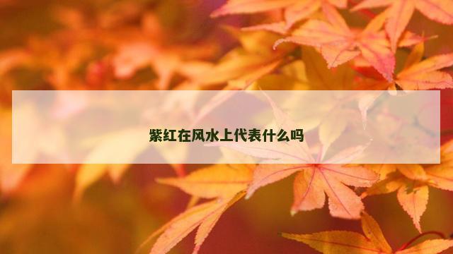 紫红在风水上代表什么吗 紫红在风水上代表什么吗