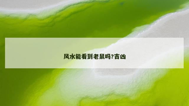 风水能看到老鼠吗?吉凶