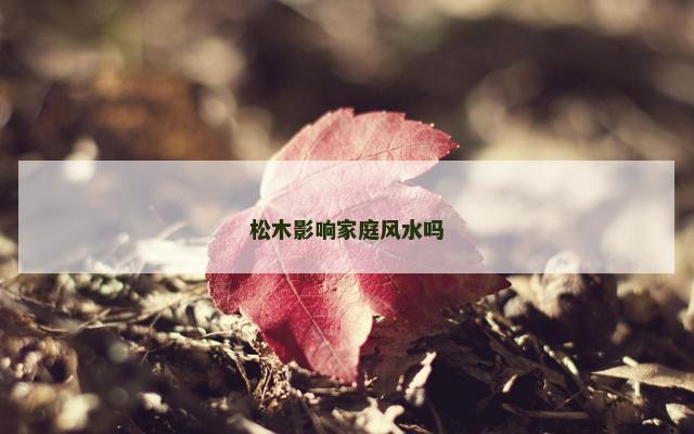松木影响家庭风水吗