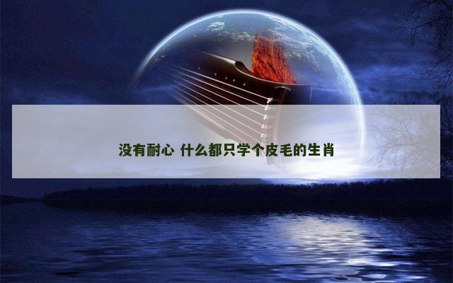 没有耐心 什么都只学个皮毛的生肖