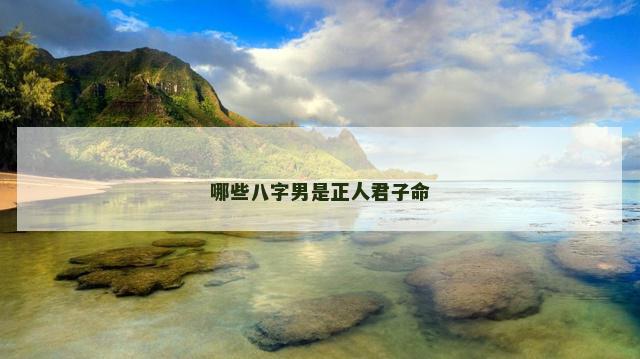 哪些八字男是正人君子命 哪些八字男是正人君子命