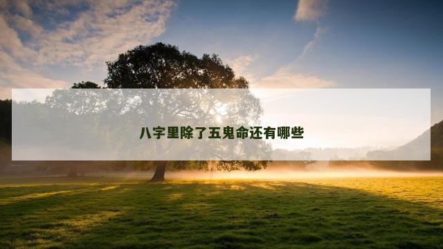 八字里除了五鬼命还有哪些 八字里除了五鬼命还有哪些