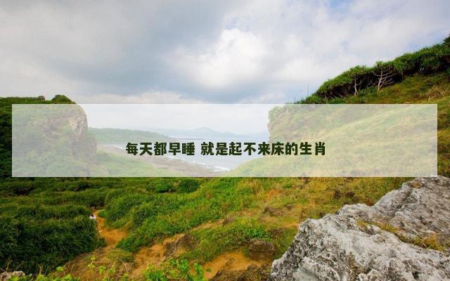 每天都早睡 就是起不来床的生肖