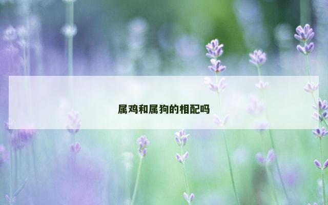 属鸡和属狗的相配吗 属鸡和属狗的相配吗