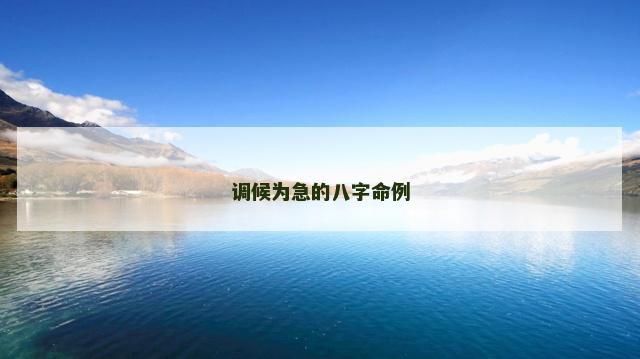 调候为急的八字命例
