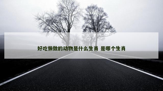 好吃懒做的动物是什么生肖 是哪个生肖 好吃懒做的动物是什么生肖 是哪个生肖