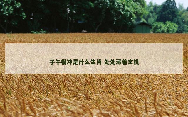 子午相冲是什么生肖 处处藏着玄机