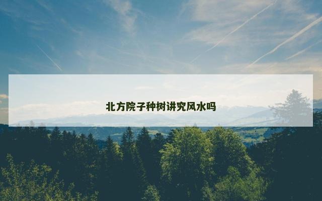 北方院子种树讲究风水吗