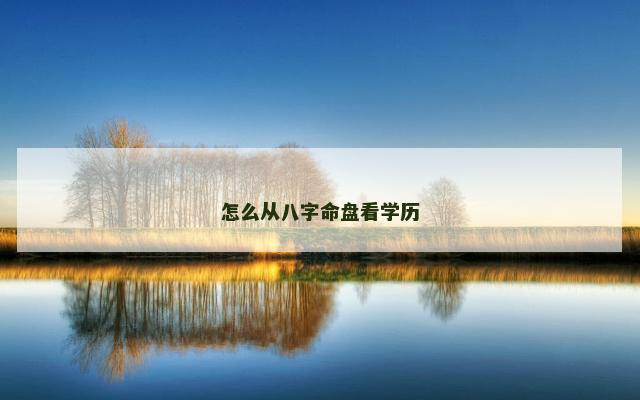 怎么从八字命盘看学历