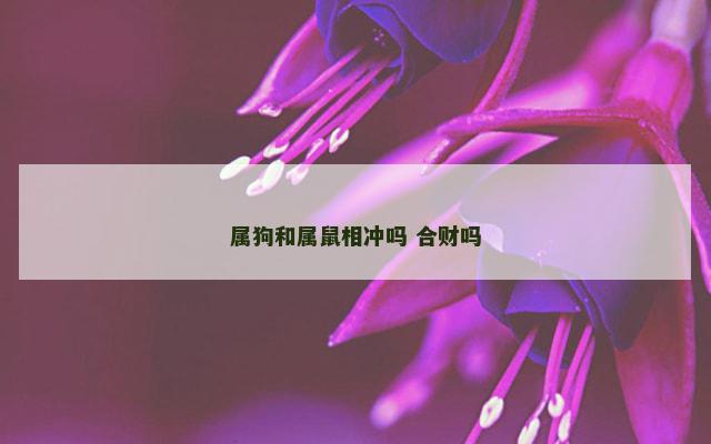 属狗和属鼠相冲吗 合财吗 属狗和属鼠相冲吗 合财吗