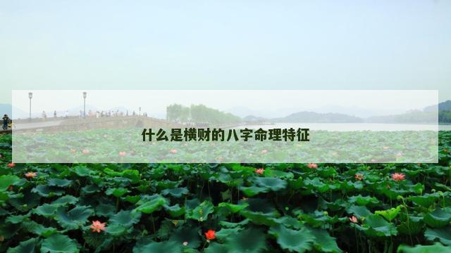 什么是横财的八字命理特征