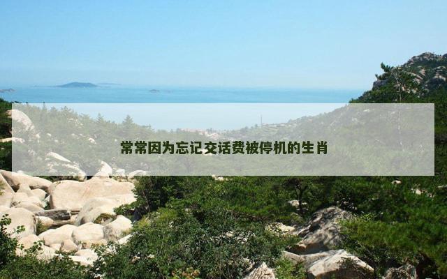 常常因为忘记交话费被停机的生肖 常常因为忘记交话费被停机的生肖