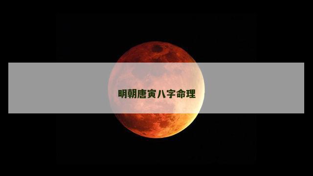 明朝唐寅八字命理